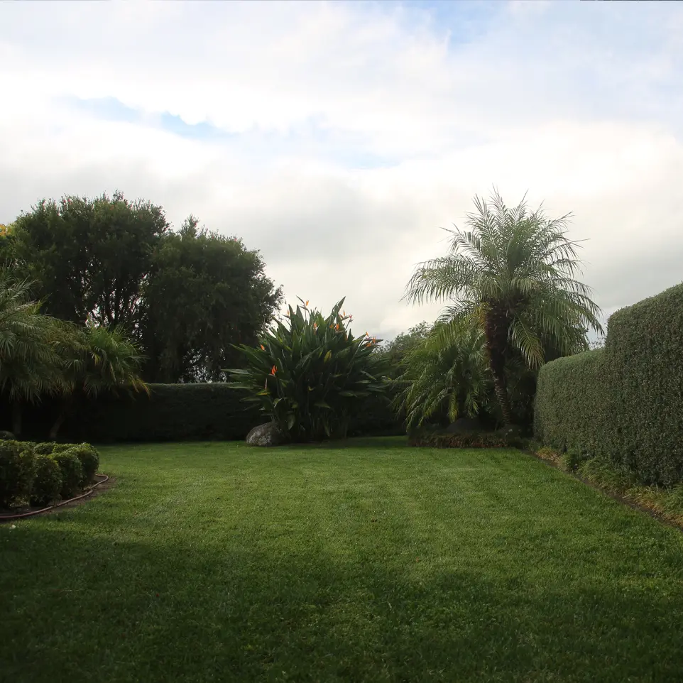 Neighbourhood Upkeeper Shelly Park garden