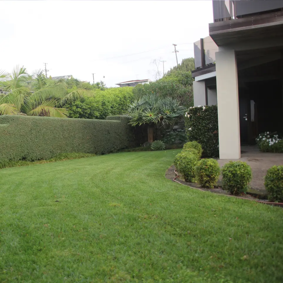 Neighbourhood Upkeeper Shelly Park garden