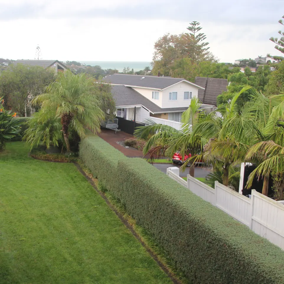 Neighbourhood Upkeeper Shelly Park garden