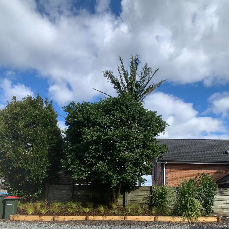 Neighbourhood Upkeeper Mt Wellington garden build