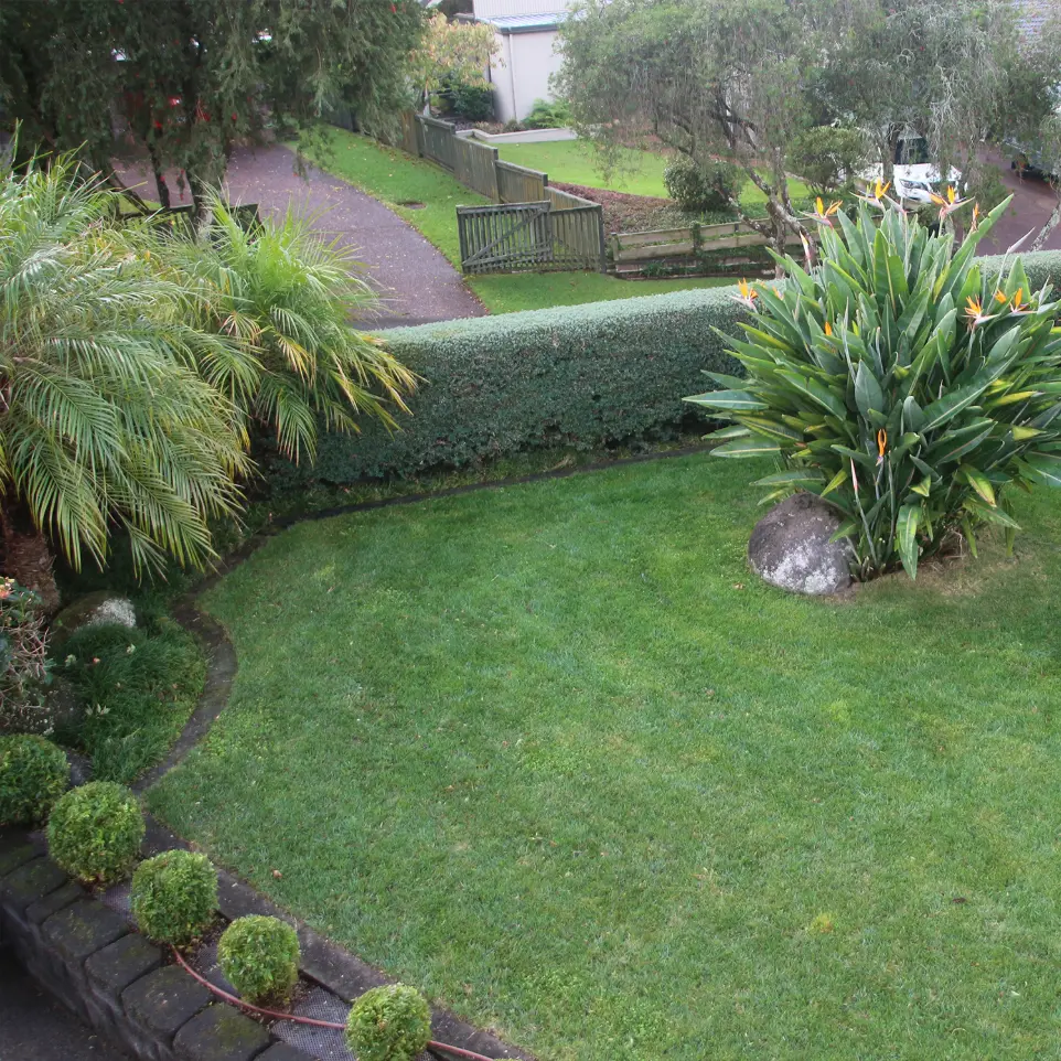 Neighbourhood Upkeeper Shelly Park garden