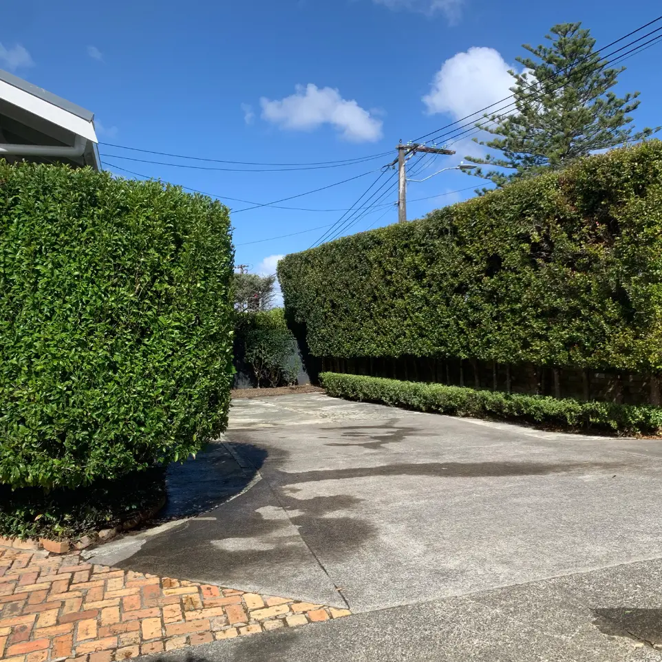 Neighbourhood Upkeeper Remuera garden