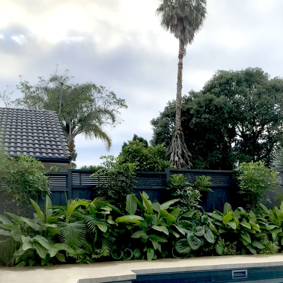 Neighbourhood Upkeeper Mt Eden garden