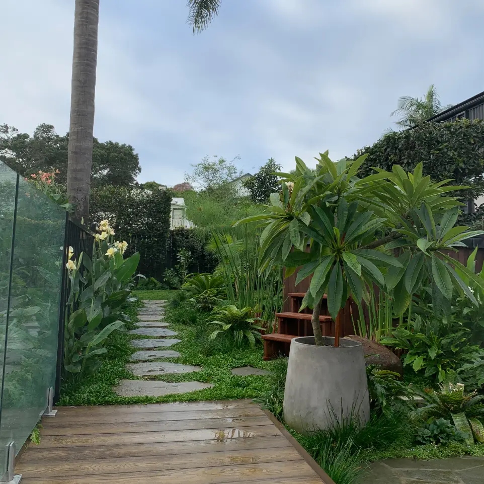 Neighbourhood Upkeeper Mt Eden garden