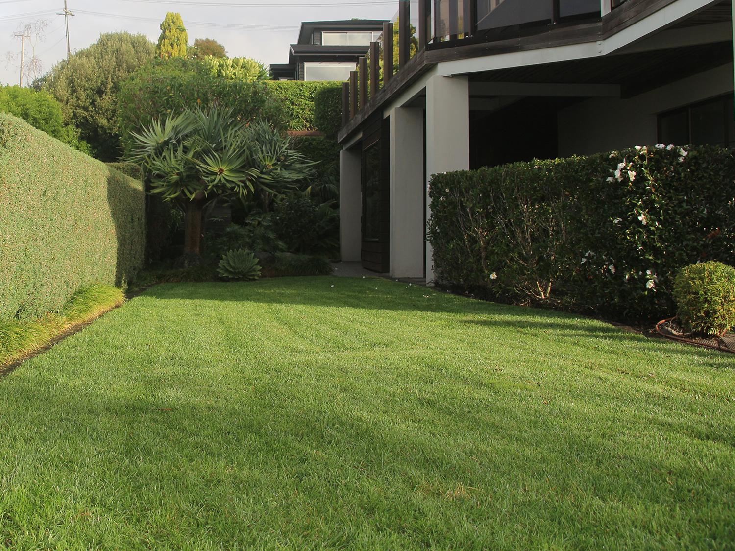 Neighbourhood Upkeeper Shelly Park Lawn