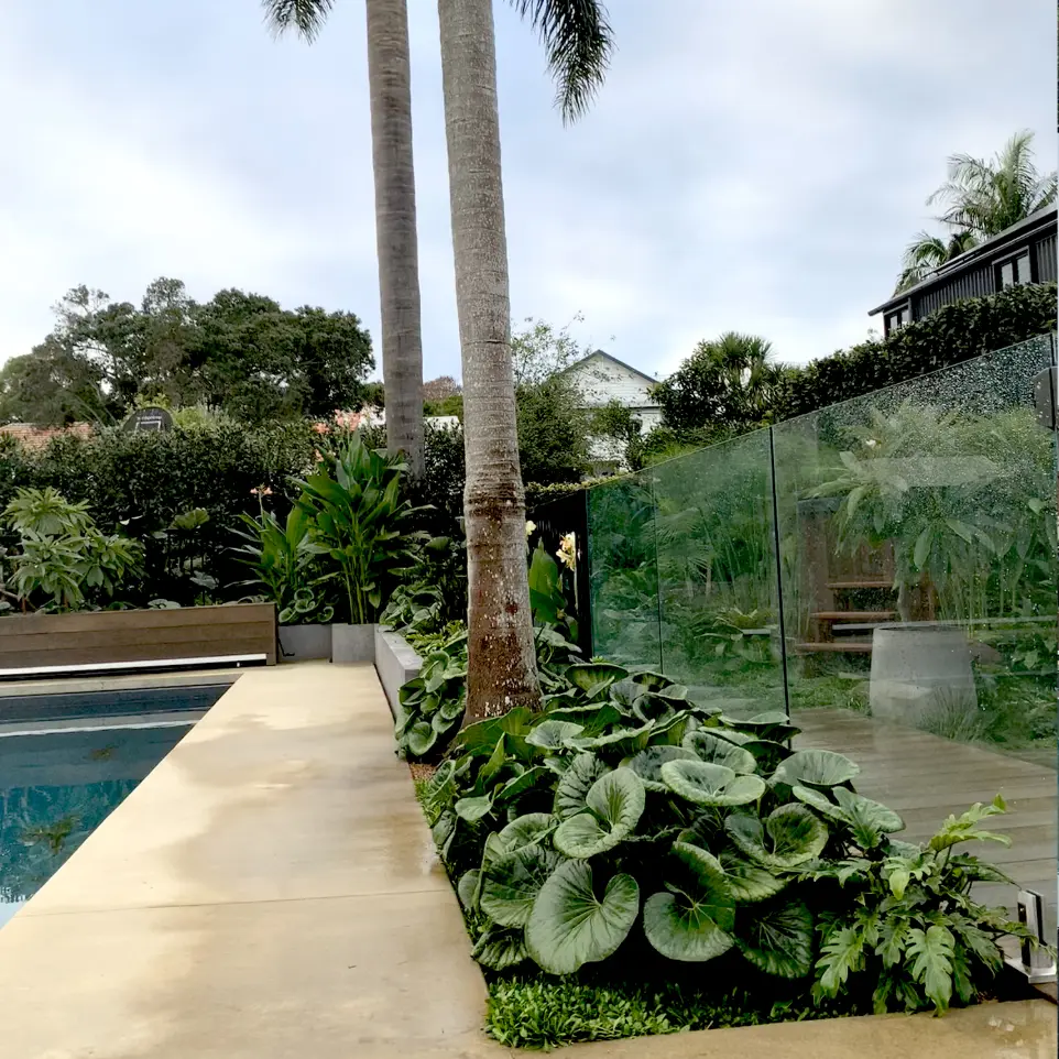 Neighbourhood Upkeeper Mt Eden garden