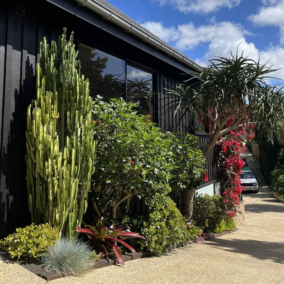 Gardening services Howick garden