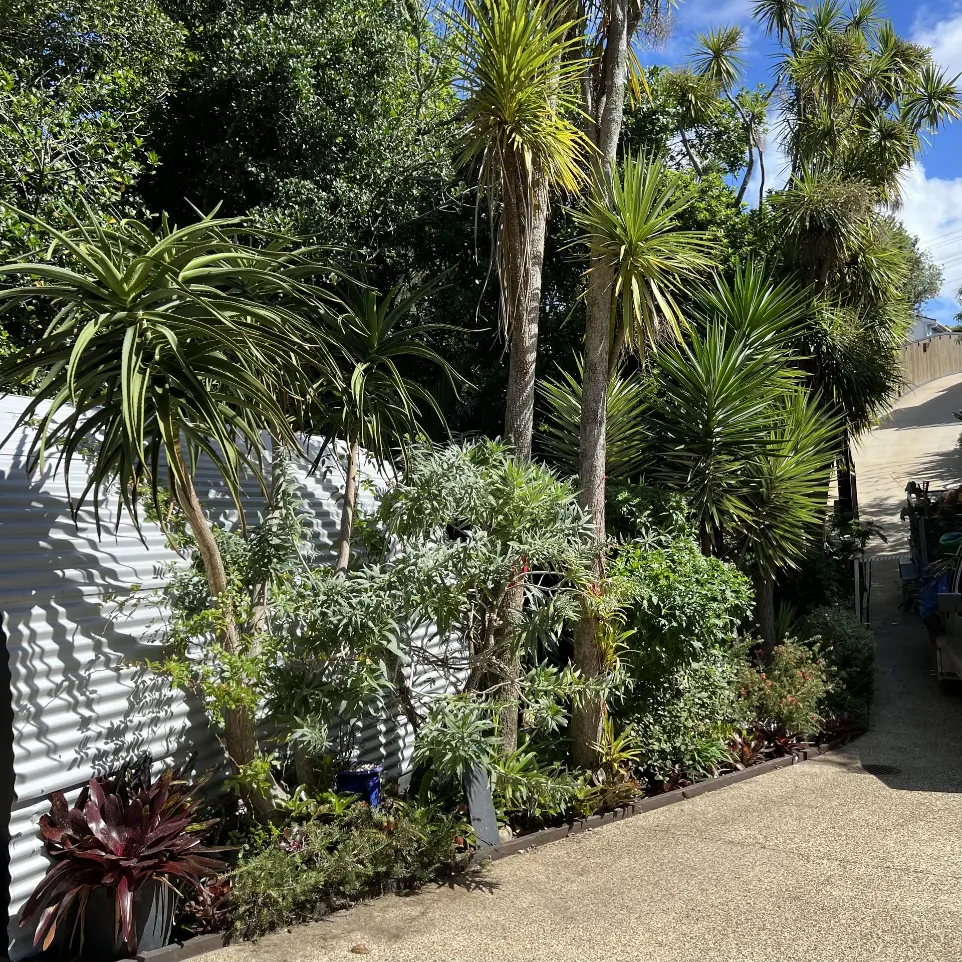 Gardening services Howick garden