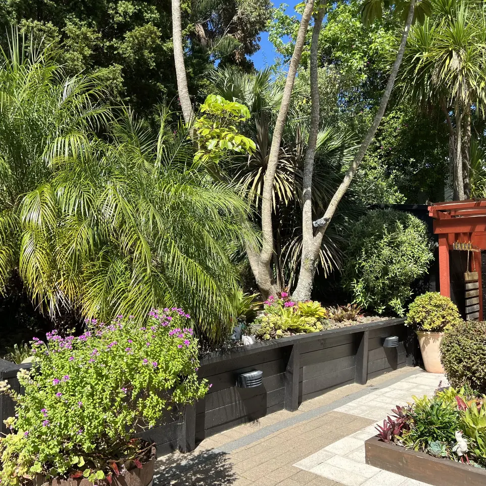 Gardening services Howick garden