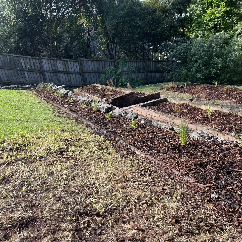 Neighbourhood Upkeeper St Heliers native garden