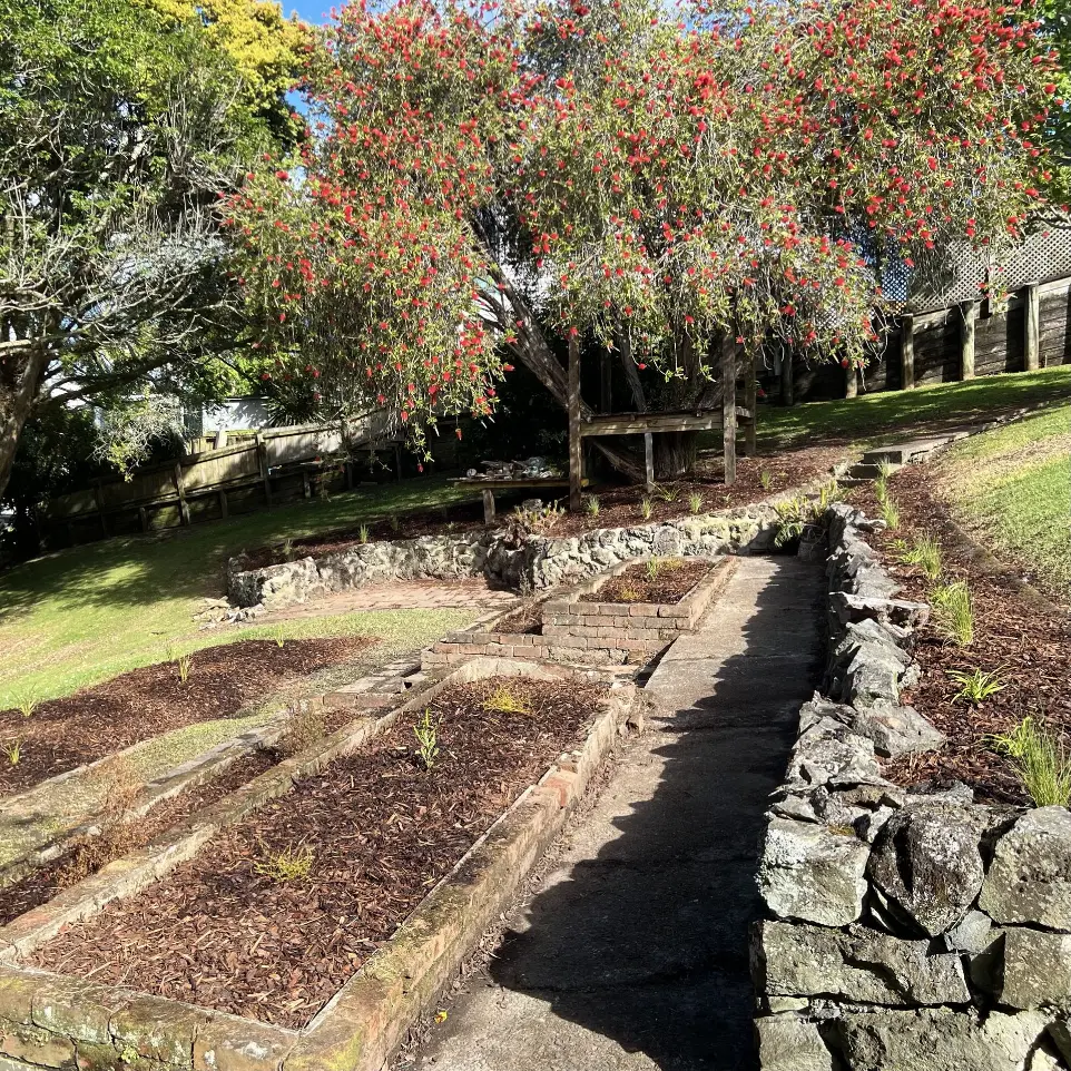Neighbourhood Upkeeper St Heliers native garden