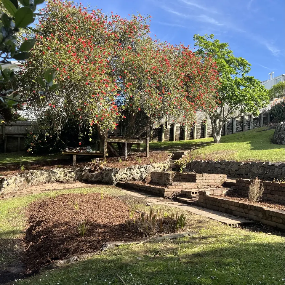 Neighbourhood Upkeeper St Heliers native garden