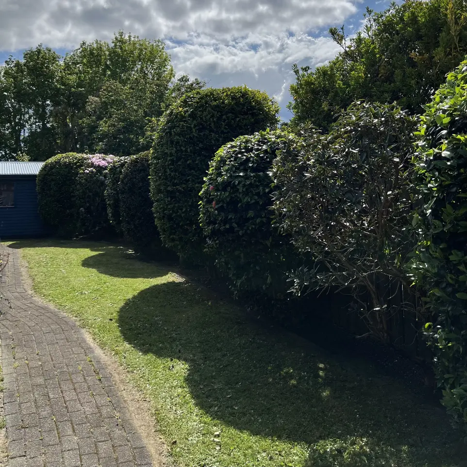 Gardening services Blockhouse Bay garden