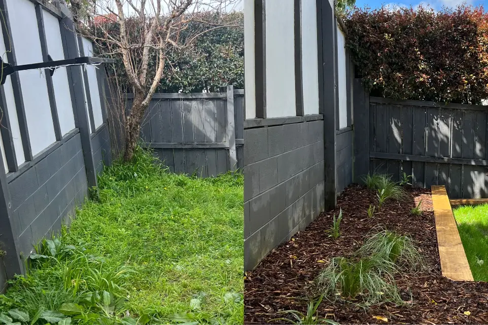 Landscaping St Heliers landscaping