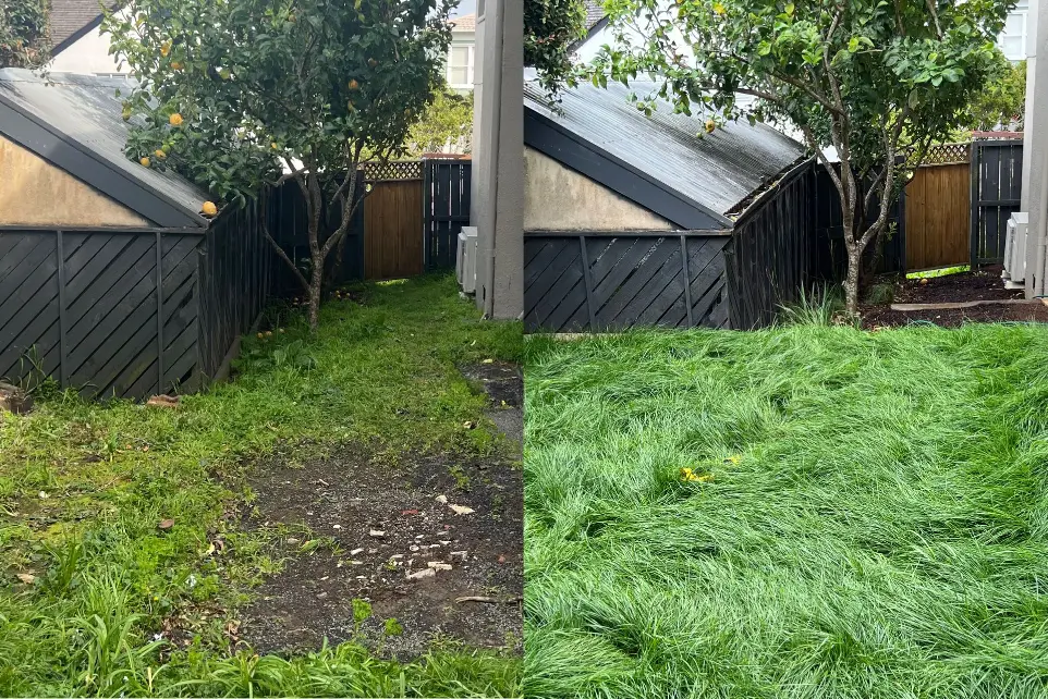 Landscaping St Heliers landscaping